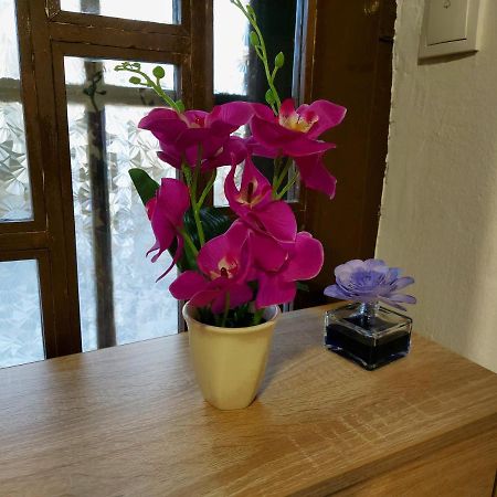 Lovely, Neat And Quite Apartment Dalia, Private Parking Сараево Экстерьер фото